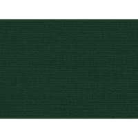 Луксозни мини плоски карти за бележки, 100лб, 9 16, зелено Бельо, пакет