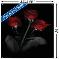 Плакат за стена с червена роза с бутални щифтове, 22.375 34